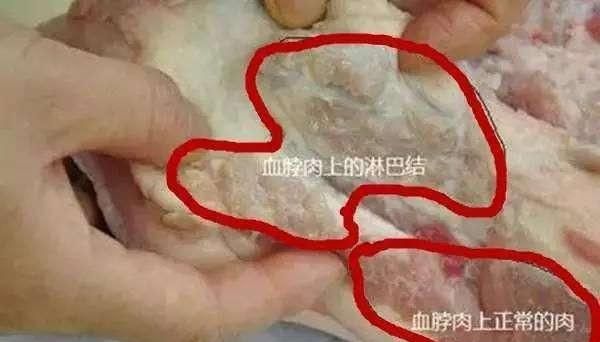 猪脖肉到底能不能吃图6