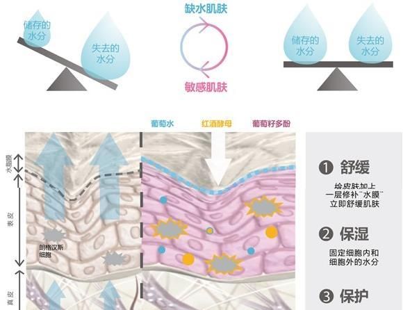 你知道凡士林有什么作用吗(经典凡士林)图5