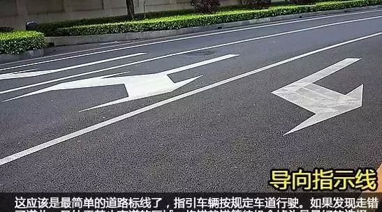 各种交通标线再集合您能认清几条图9