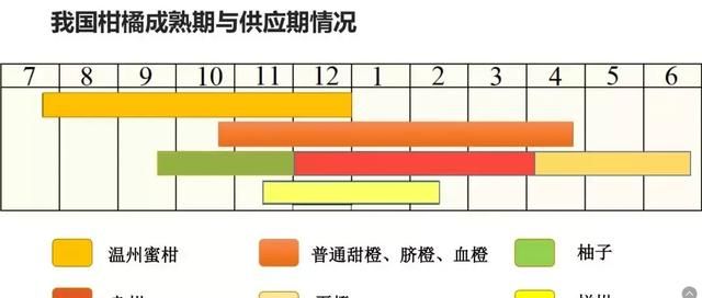 柑橘错峰上市品种有哪些,前景最好的柑橘品种排名前十图1