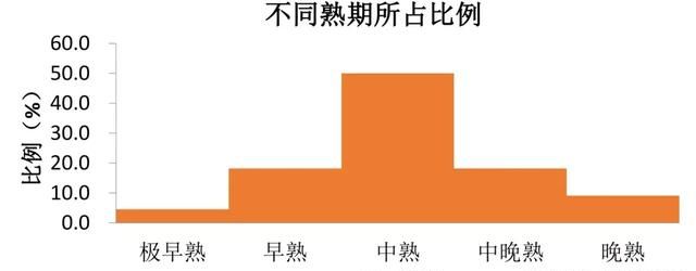 柑橘错峰上市品种有哪些,前景最好的柑橘品种排名前十图2