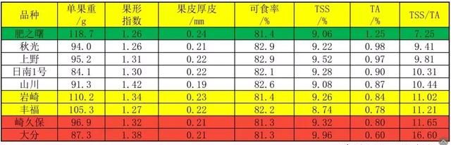 柑橘错峰上市品种有哪些,前景最好的柑橘品种排名前十图8