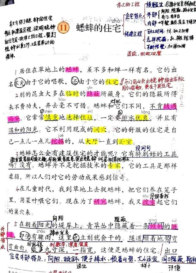 四年级语文上册十一课《蟋蟀的住宅》课文笔记和知识点，预习专用图3