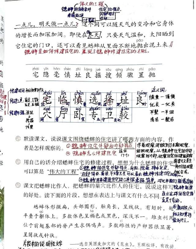 四年级语文上册十一课《蟋蟀的住宅》课文笔记和知识点，预习专用图5