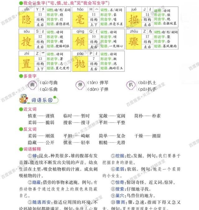 四年级语文上册十一课《蟋蟀的住宅》课文笔记和知识点，预习专用图9