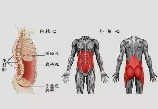 贴墙倒立的正确方法是什么图4