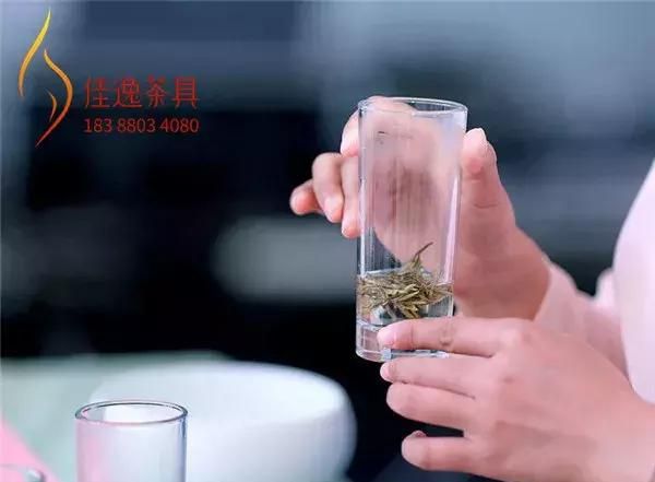 什么水温最适合泡白茶(什么壶适合泡老白茶)图4