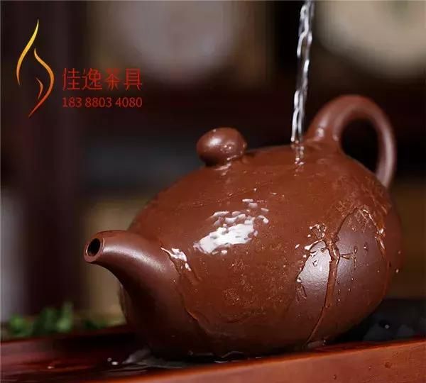 什么水温最适合泡白茶(什么壶适合泡老白茶)图8