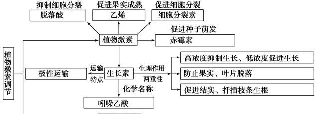 水果摘下来了怎么催熟,榴莲可以用什么水果催熟图7