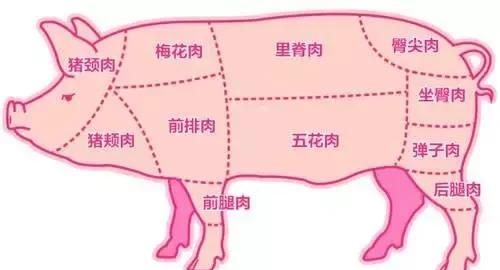 买猪肉一张图教你辨别不同猪肉,冷水坑菜市场猪肉价格多少钱一斤图1