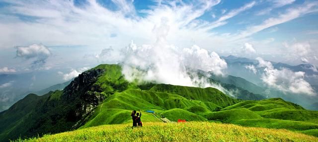 武功山臭屁虫出现在哪几天,武功山臭屁虫怎么来的图6