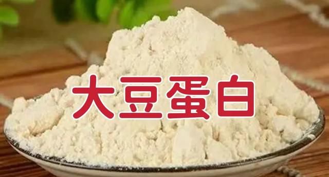 蛋白质粉有什么作用(骆驼乳蛋白质粉的作用)图1