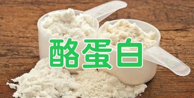 蛋白质粉有什么作用(骆驼乳蛋白质粉的作用)图2