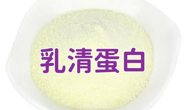 蛋白质粉有什么作用(骆驼乳蛋白质粉的作用)图3