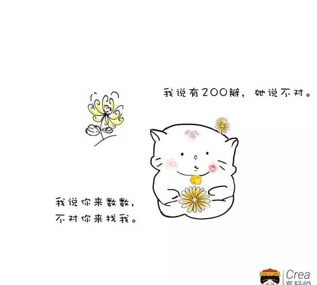 如何选择菊花茶?不同种类的菊花茶介绍大全图3