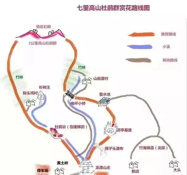 暮春之时邂逅摄人心魄的杜鹃花海图8