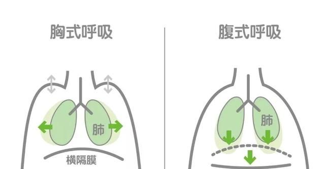 练平板支撑的正确姿势是什么(腰椎间盘突出平板支撑正确姿势)图1