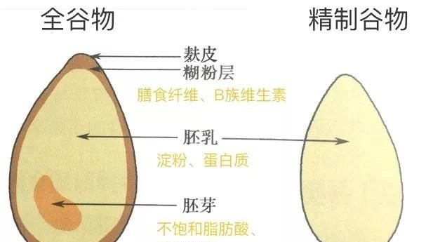 什么面包才是真正的全麦面包图9