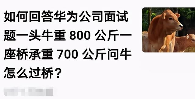 面试题100只蚂蚁有多少条腿图5