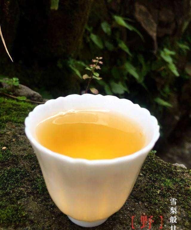 白茶绿茶红茶普洱茶的冲泡方法图2