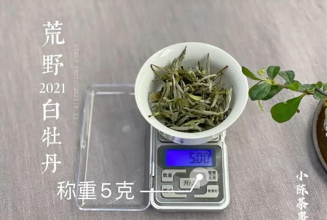 白茶绿茶红茶普洱茶的冲泡方法图8