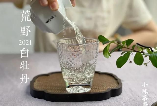 白茶绿茶红茶普洱茶的冲泡方法图9