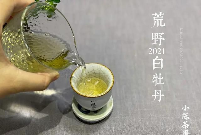 白茶绿茶红茶普洱茶的冲泡方法图10