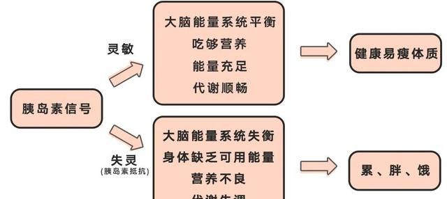 如何轻断食,如何轻断食辟谷图5