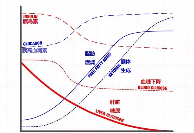 如何轻断食,如何轻断食辟谷图18