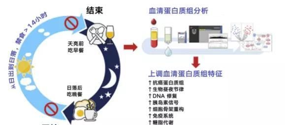 如何轻断食,如何轻断食辟谷图20