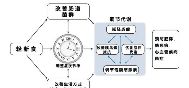 如何轻断食,如何轻断食辟谷图21