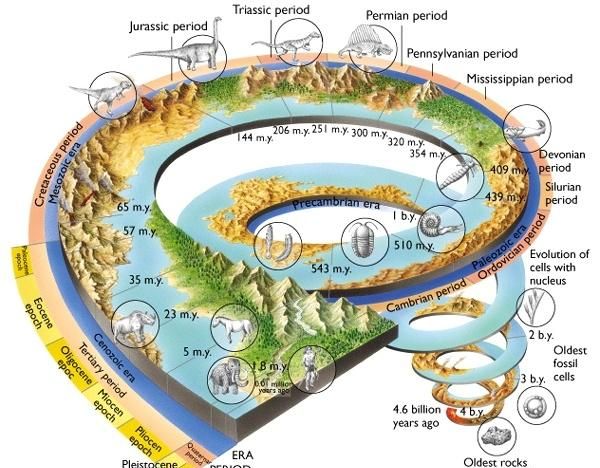 地球的历史可划分为几个地质时代图2