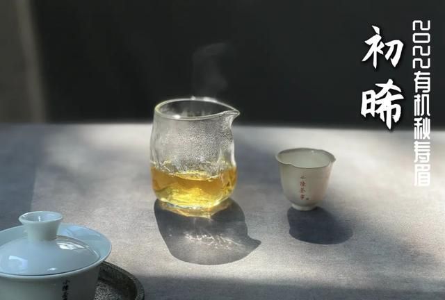 菊花枸杞陈皮老白茶,白茶陈皮菊花是煮茶好还是泡茶好图2