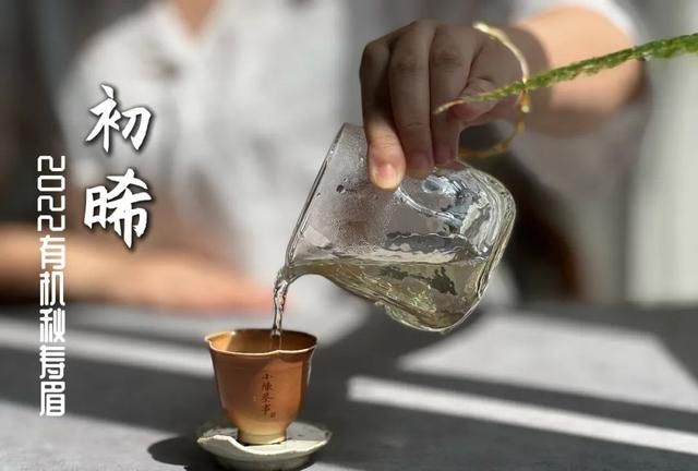 菊花枸杞陈皮老白茶,白茶陈皮菊花是煮茶好还是泡茶好图5