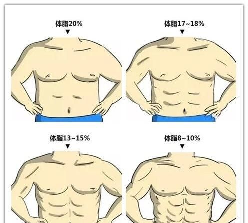 有哪些训练腹肌的虐腹动作(腹肌虐腹动作大全)图1