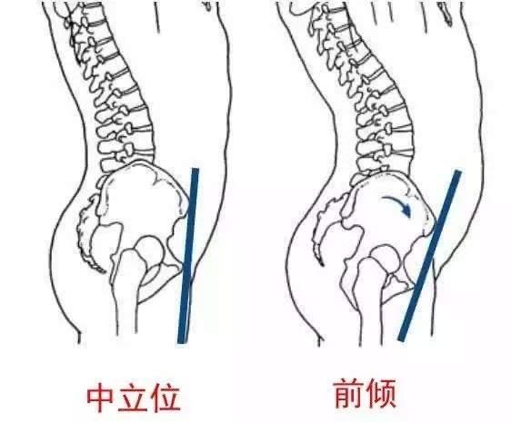 有哪些训练腹肌的虐腹动作(腹肌虐腹动作大全)图3