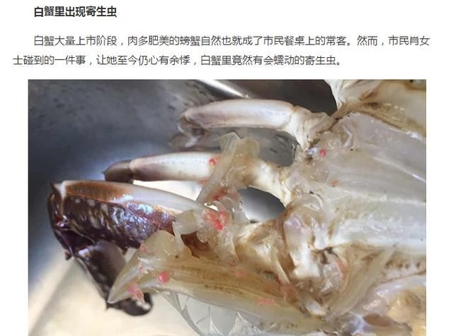 螃蟹上的寄生虫用肉眼看得见吗图1