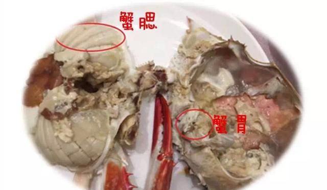 螃蟹上的寄生虫用肉眼看得见吗图8