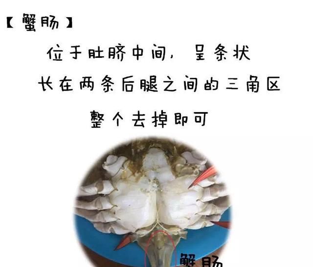 螃蟹上的寄生虫用肉眼看得见吗图9