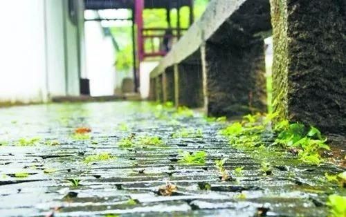 梅雨季怎么除潮(梅雨季家里怎么除潮除湿)图1