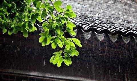 梅雨季怎么除潮(梅雨季家里怎么除潮除湿)图2