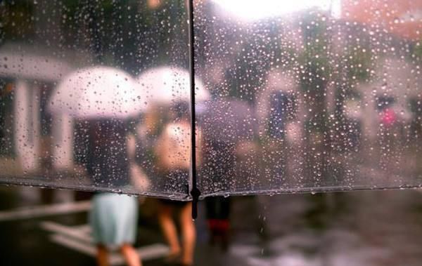 梅雨季怎么除潮(梅雨季家里怎么除潮除湿)图3