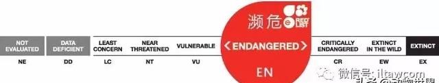 企鹅为什么生活在南极不在北极图48