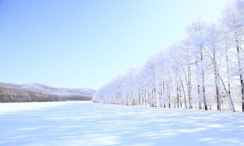 你喜欢南方雨还是北方的雪图2