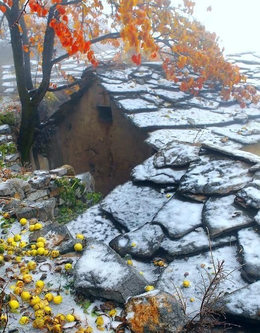 你喜欢南方雨还是北方的雪图9