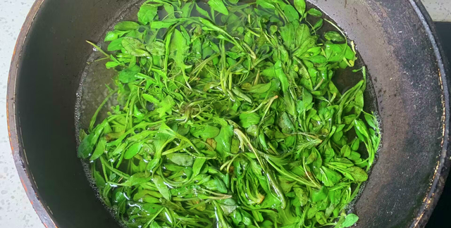 现在有什么野菜可以挖着吃,6种最好吃的野菜图3