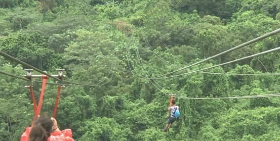 海南保亭红毛丹飘香日子甜又美(保亭红毛丹旅游攻略)图10