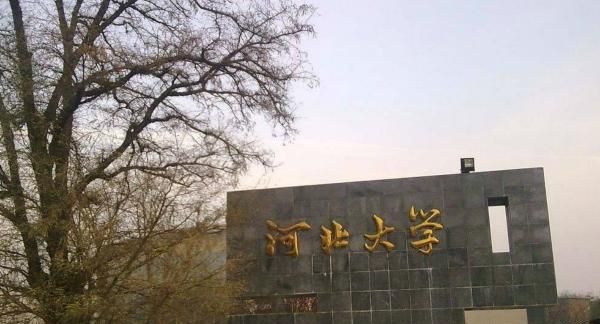 哪些高校将在雄安建立分校呢,雄安有哪些大学要建分校图3