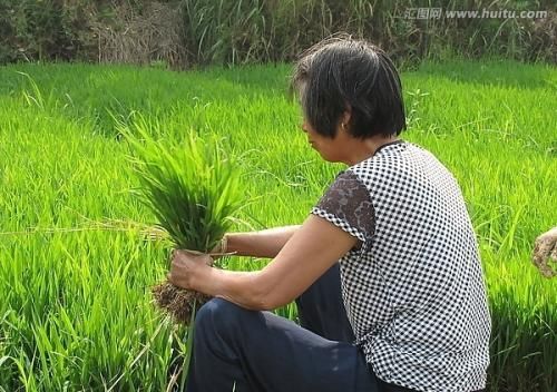 为什么古代不执行女耕男织,而变成了男耕女织呢图2