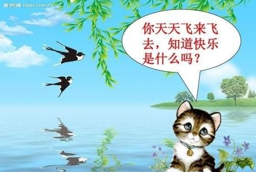 快乐是什么物质产生的,快乐是什么因素产生的图2